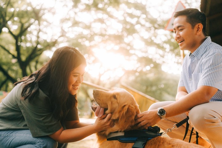 Pat & Abby’s Prenup&nbsp;Shoot